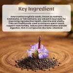Aekharo Whole Herbs Mockup