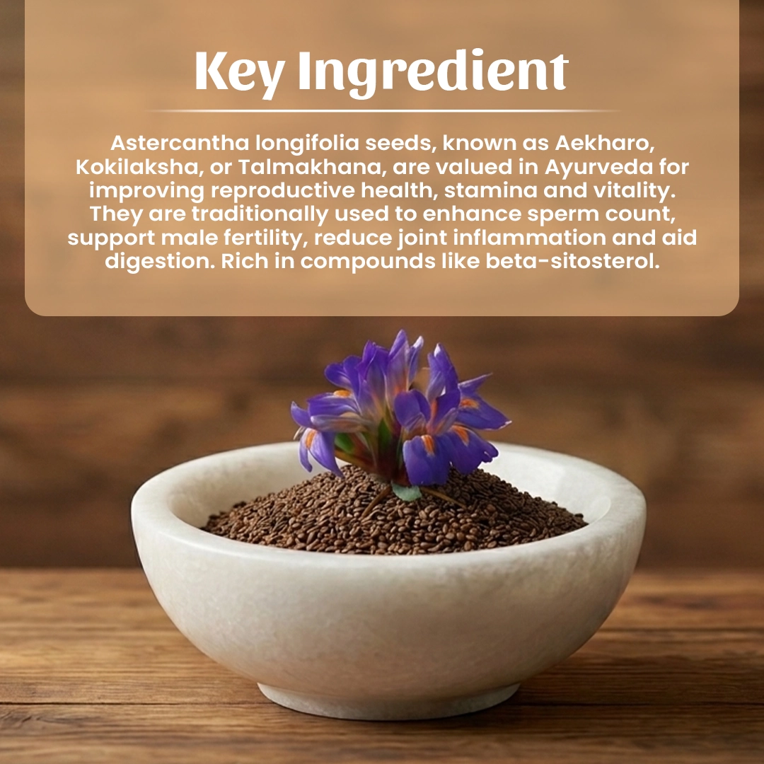 4 Aekharo Seeds Powder Ingredient