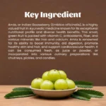 1 amla powder mockup