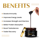 Neel-Ayurvedics-Shilajit-Main-IMG.png