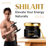 Neel-Ayurvedics-Shilajit-Main-IMG.png