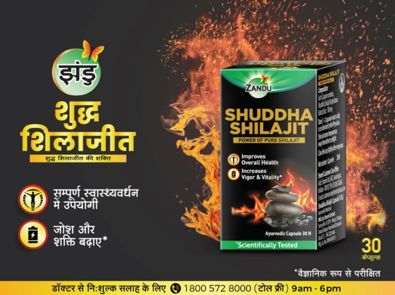 Zandu Shuddha Shilajit Capsules – 30 Cap1