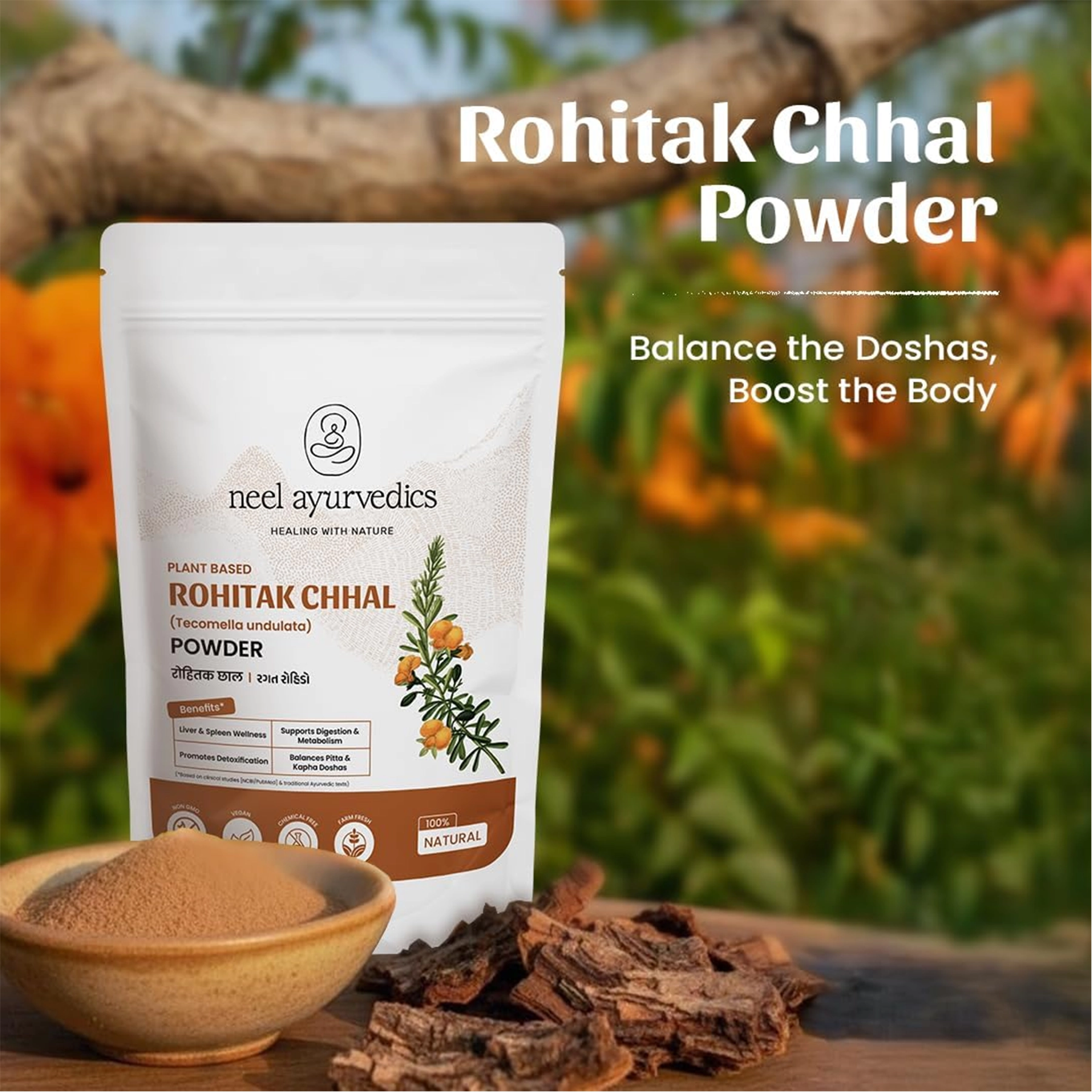 2 Rohitak Chhal Powder