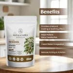 Neel Ayurvedics Mindhol Powder