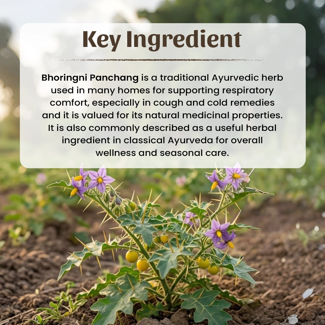 4 Bhoringni Panchang Powder Ingradient