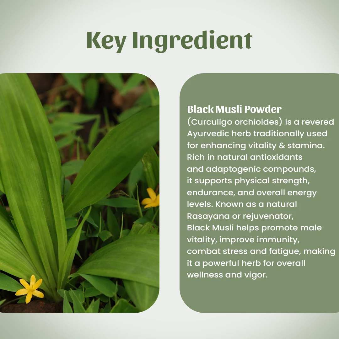 4 Black Musli Powder Ingredient