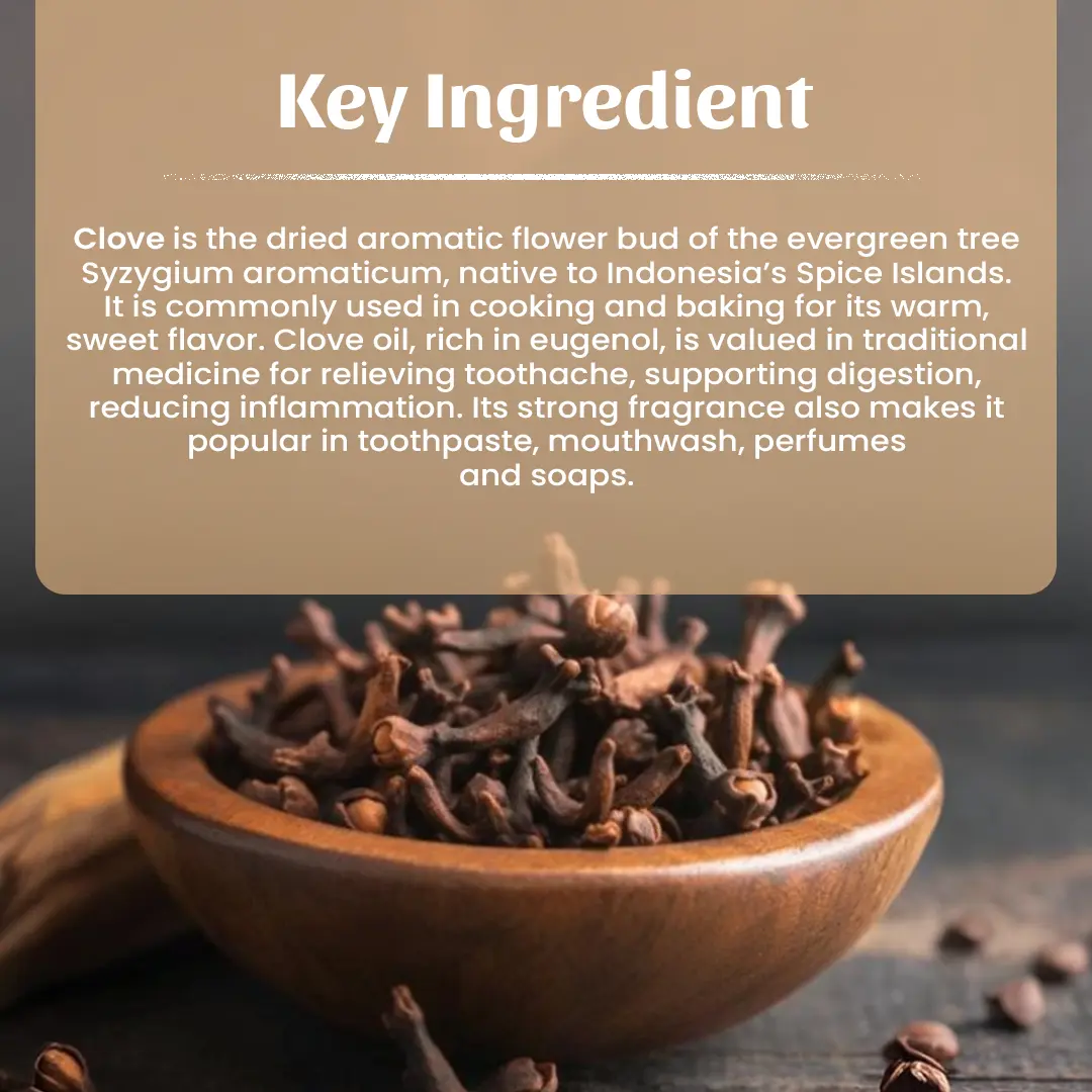 4 Clove (Lavang) Powder Ingredient