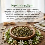 neel_ayurvedics_dikamari_churna_kalkambi_powder_2069298640