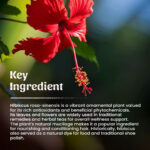 1 Jasud (hibiscus) Powder Mockup