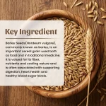 Neel Ayurvedics Barley Seeds Powder