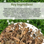 Kada-Chhal-Powder