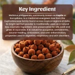 Neel Ayurvedics Kapilo Powder
