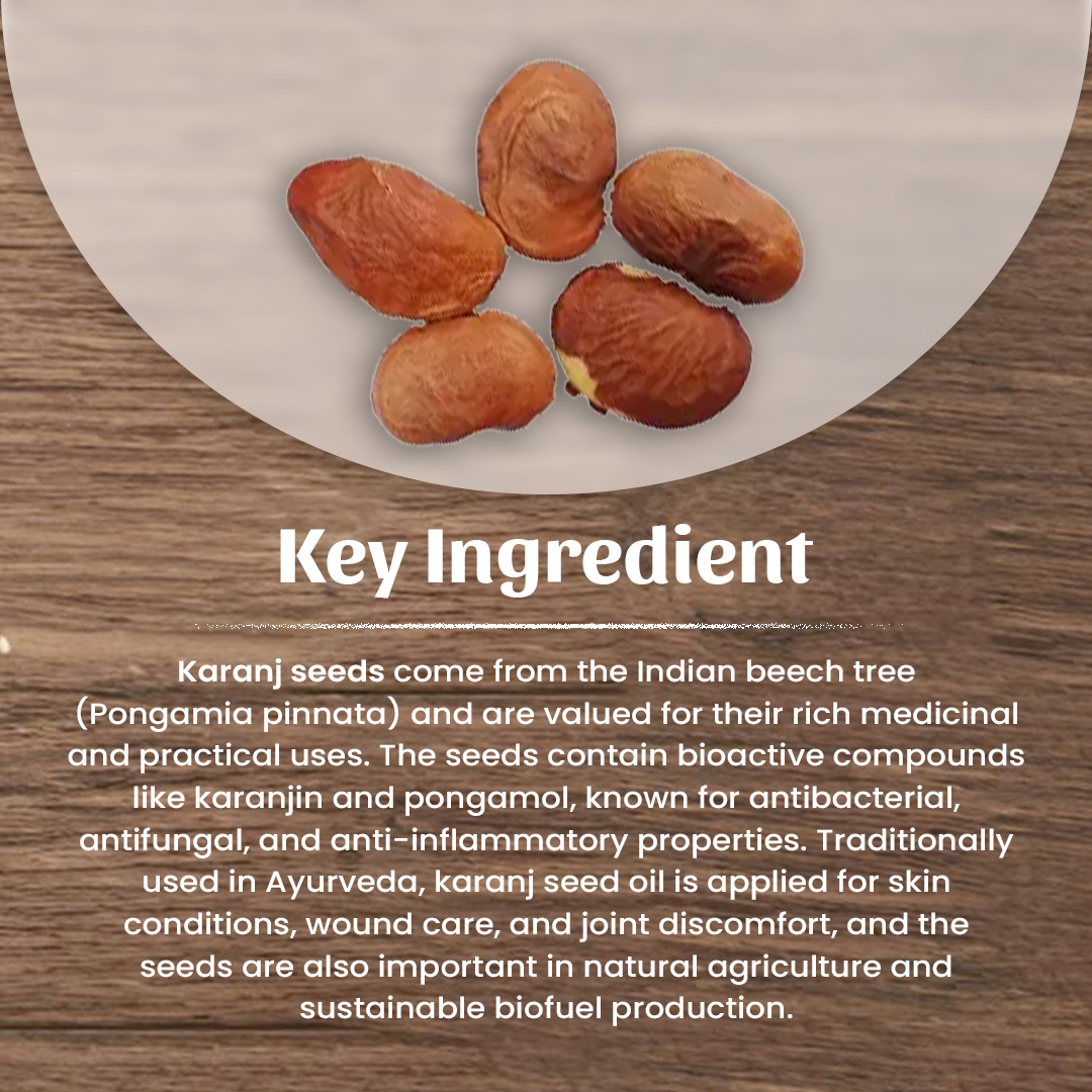4 Karanj Seeds Powder Ingradient