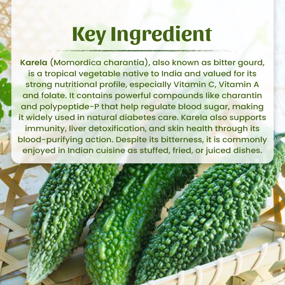 4 Karela Powder Ingradient