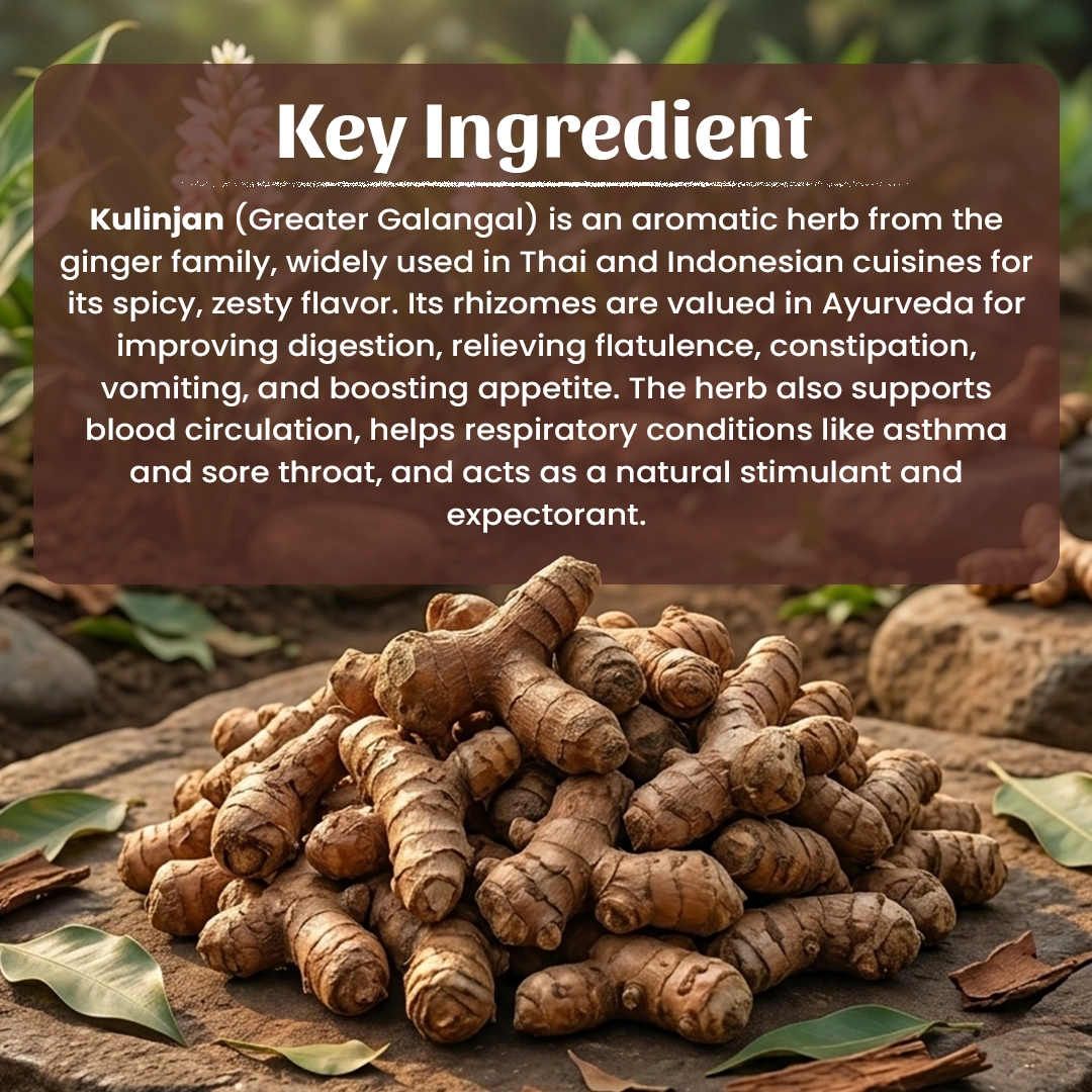 4 Kulinjan Powder Ingradient