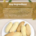 Mango Seeds Powder