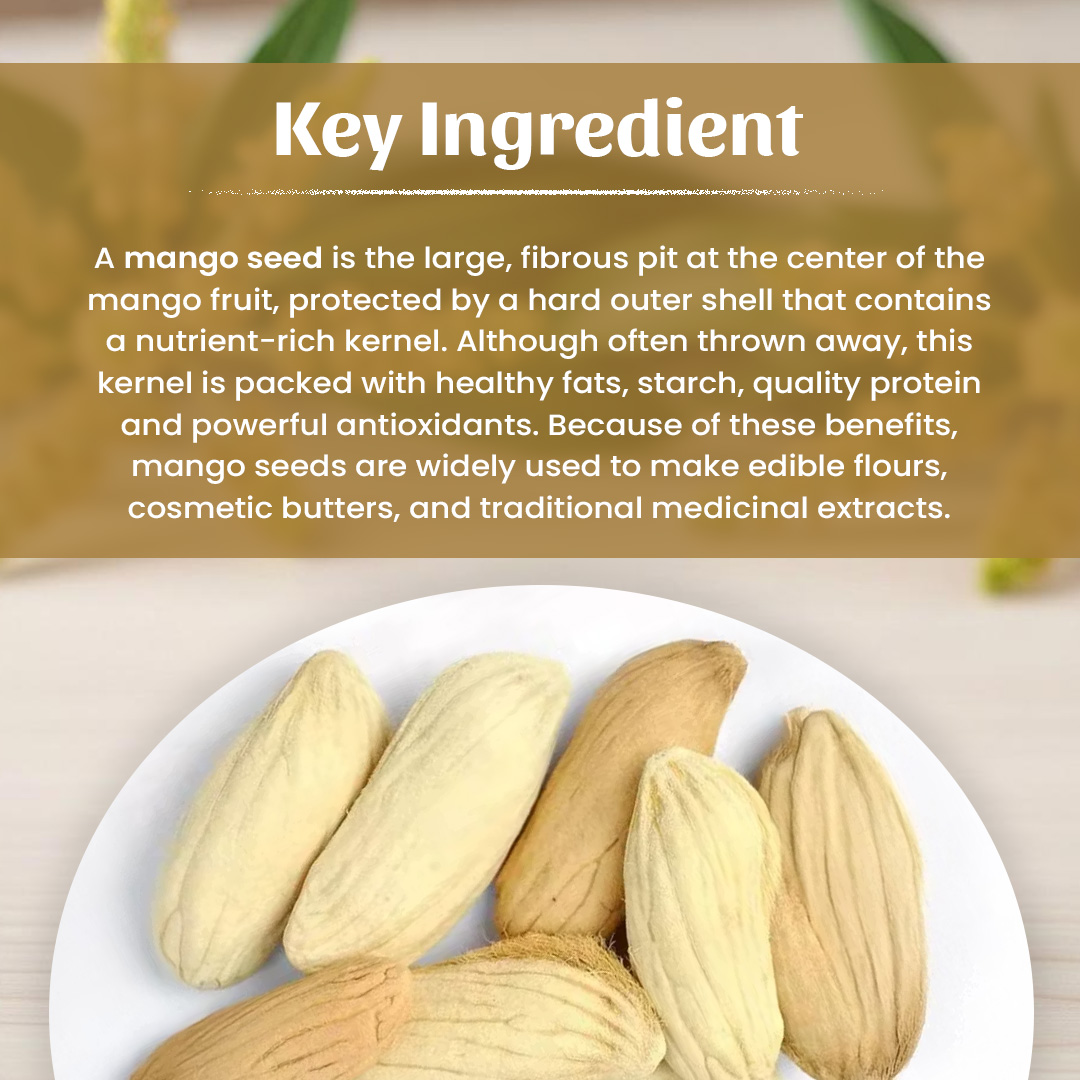 4 Mango Seeds Powder Ingradient