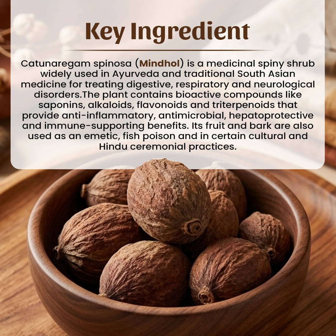 4 Mindhol Ingredient