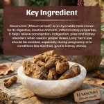 Neel Ayurvedics Revanchini Powder (1)