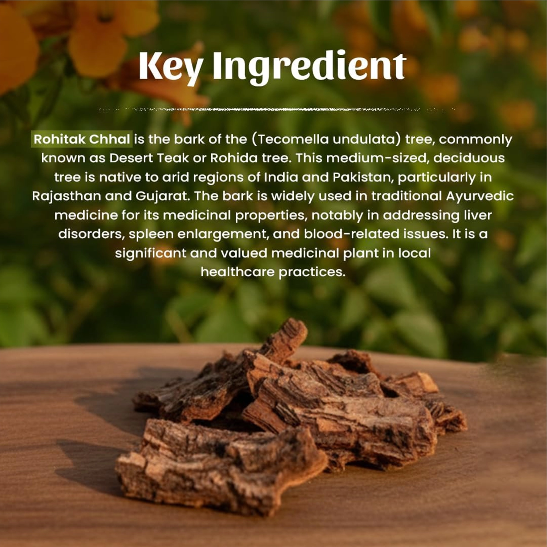 4 Rohitak Chhal Powder Ingredient