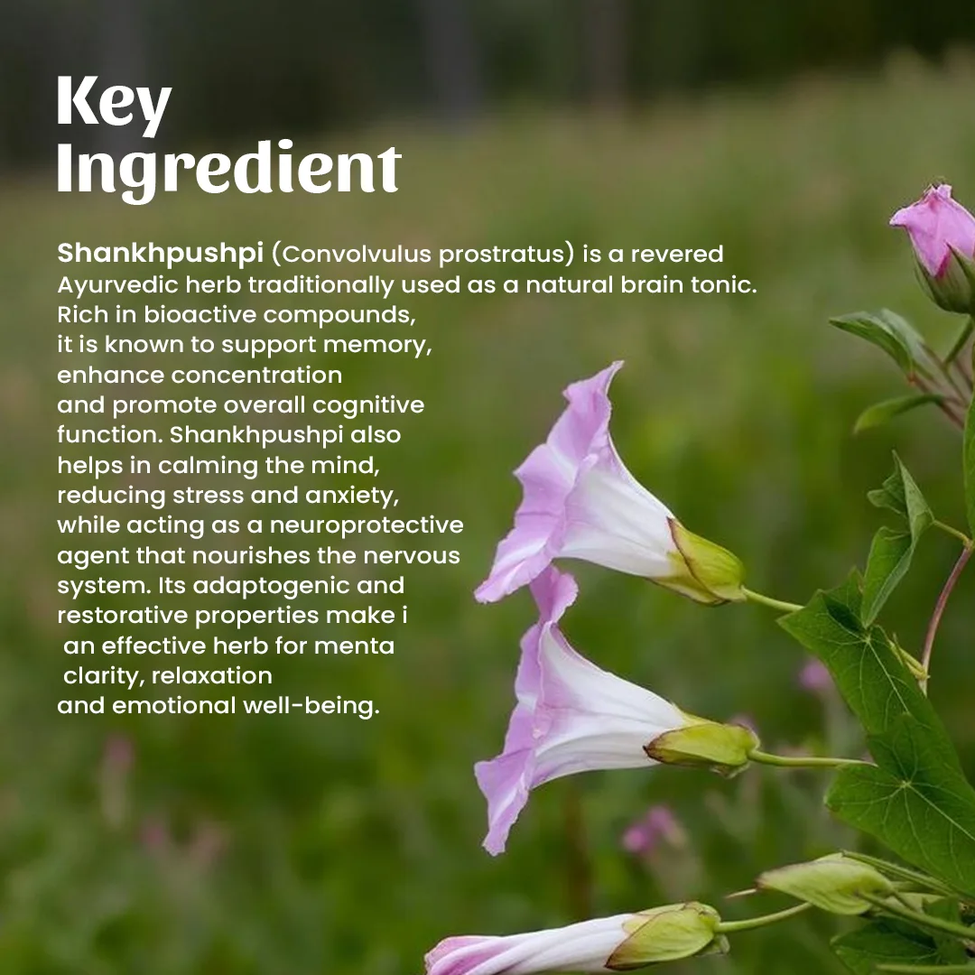 4 Shankhpushpi Powder Ingredient