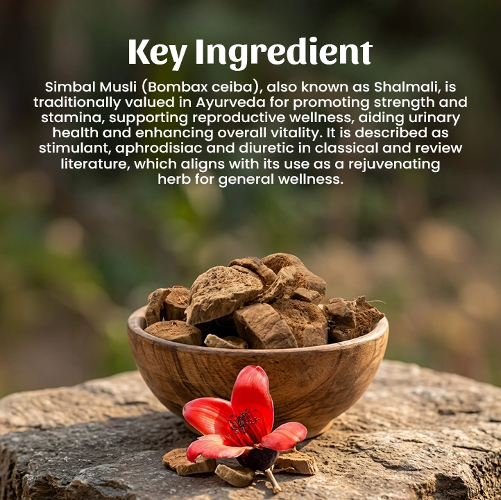 4 Simbal Musli Powder Ingredient