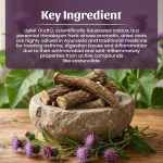 Neel Ayurvedics Uplet Powder