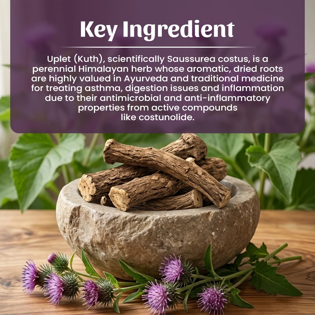 4 Uplet Powder Ingredient