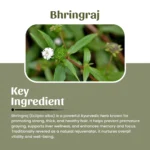1-bhringraj-powder-mockup