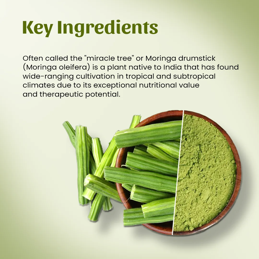4 lmoringa drumstick powder ingredient