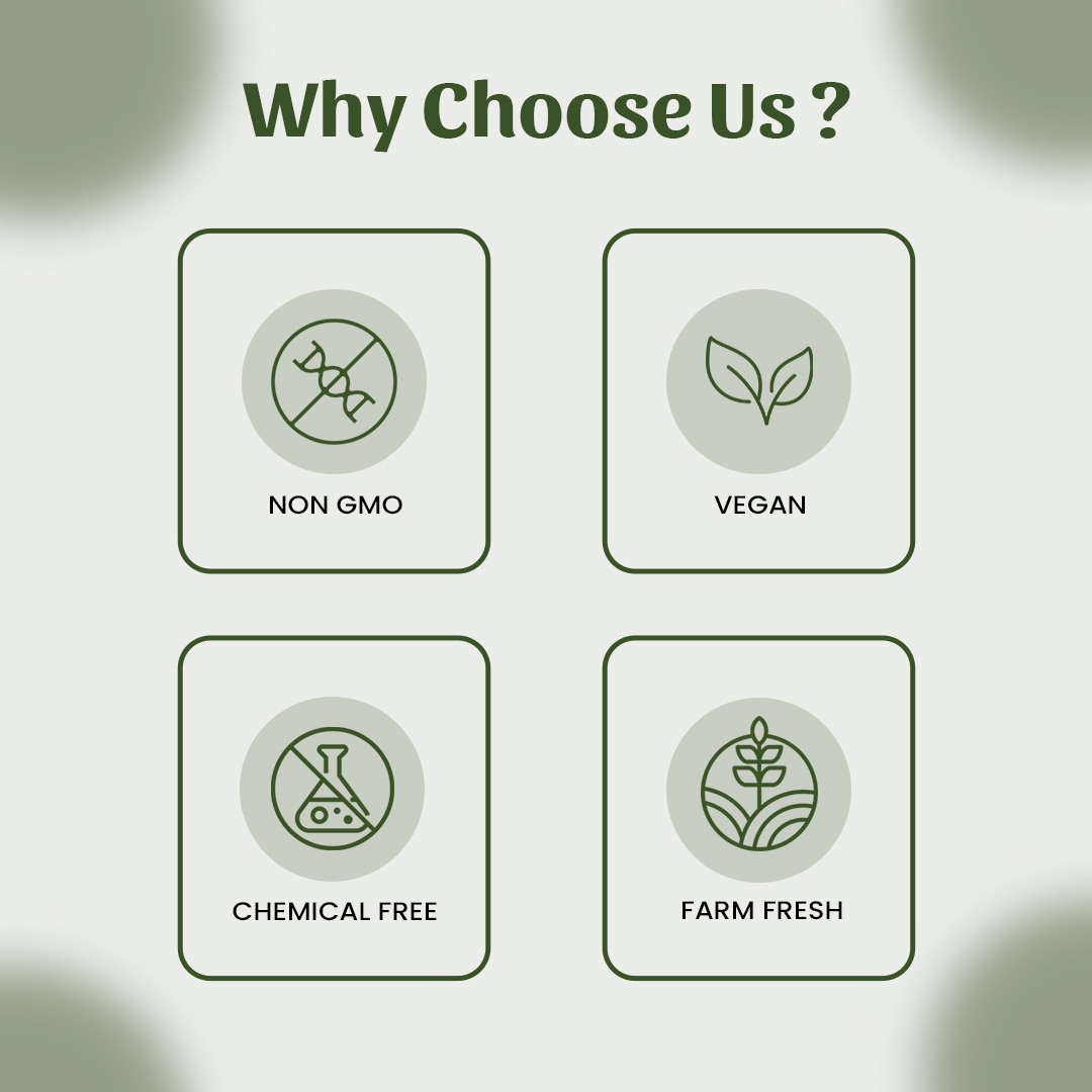 6 Dhana (Coriander) Why Choose Us