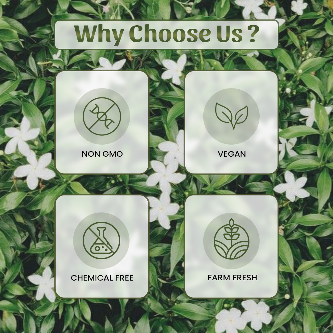6 Kada Chhal Why Choose Us