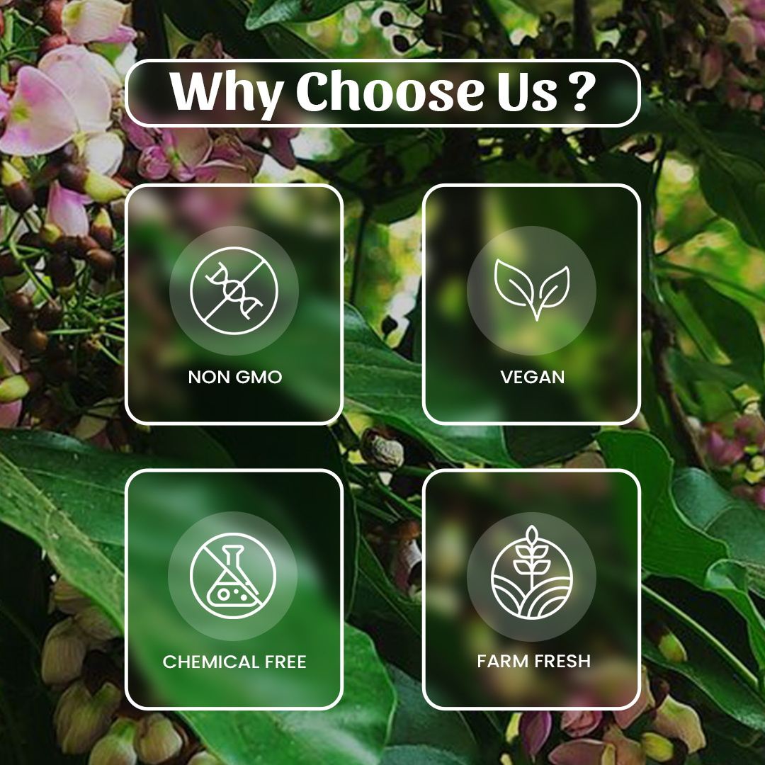 6 Karanj Chhal Powder Why Choose Us