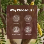 Neel Ayurvedics Kher Chhal Powder