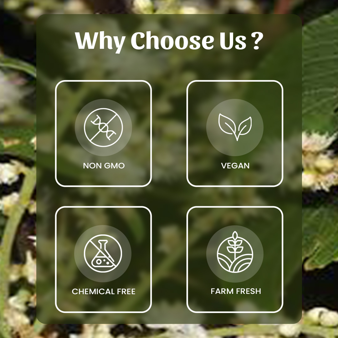 6 Lodhra Chhal Why Choose Us
