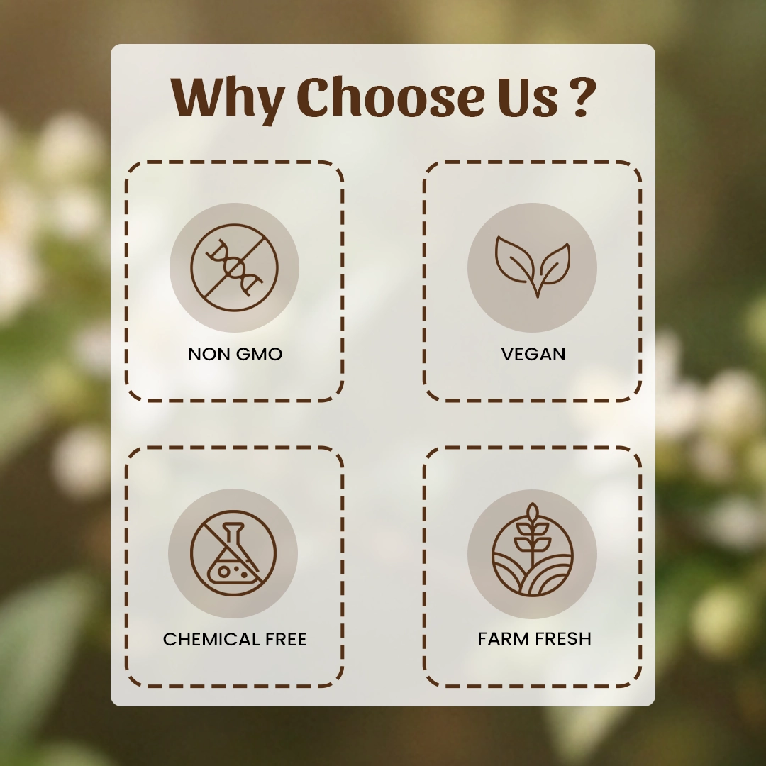 6 Mindhol Why Choose Us
