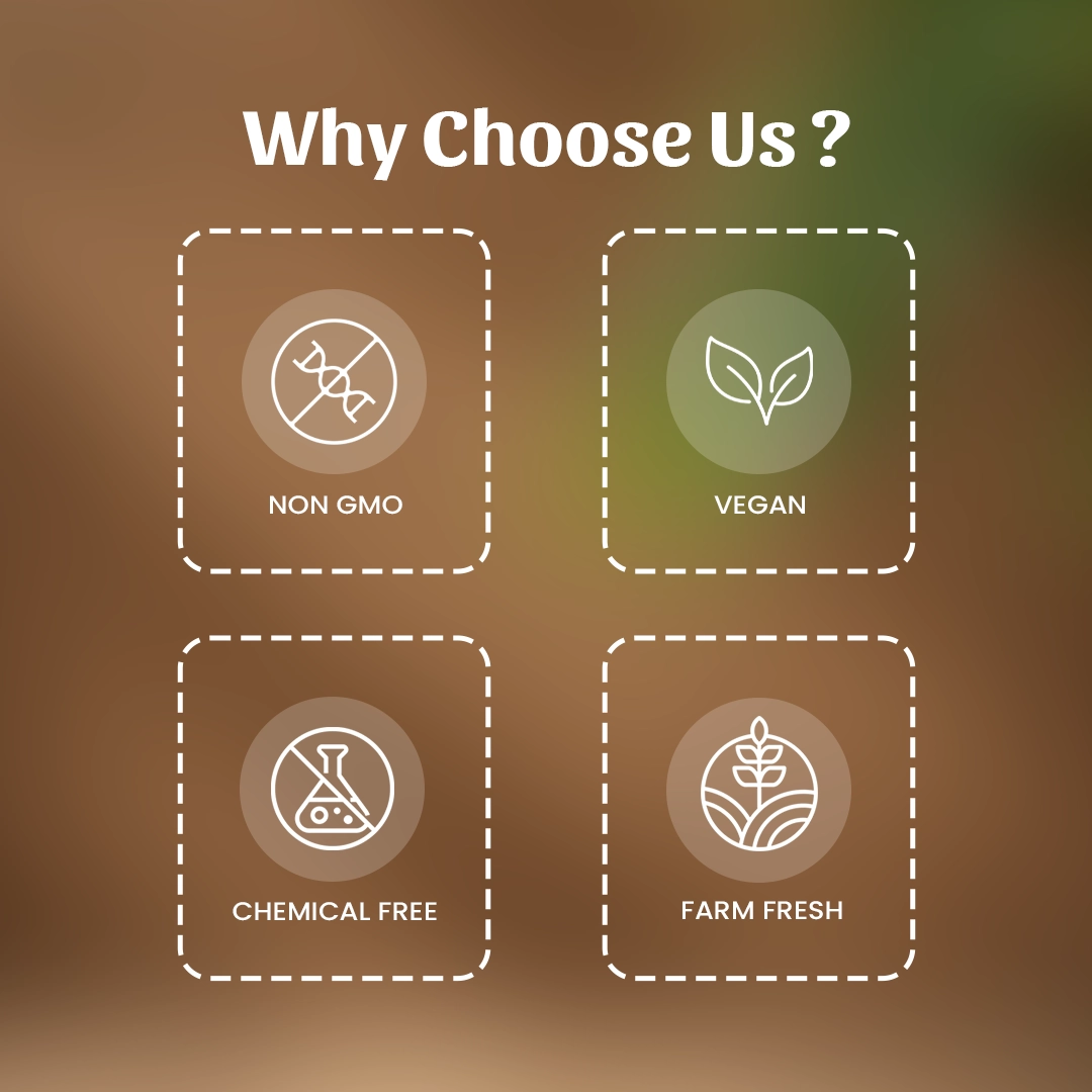 6 Mochras Why Choose Us