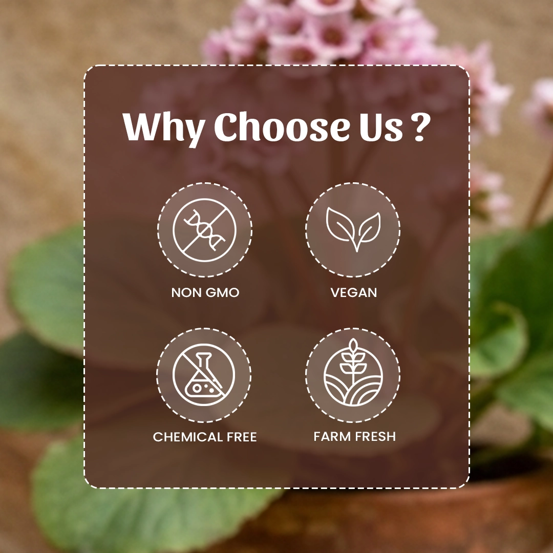 6 Pashanbhes Powder Why Choose Us