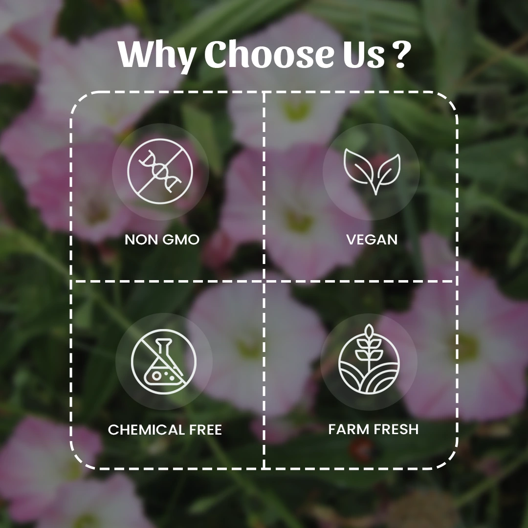 6 Shankhpushpi Powder Why Choose Us