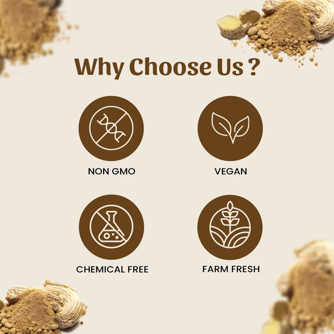 6 Sunth Powder why choose us
