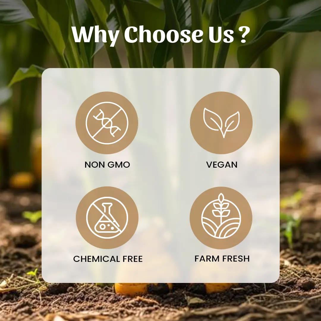 6 Turmeric (Haldi) powder why choose us