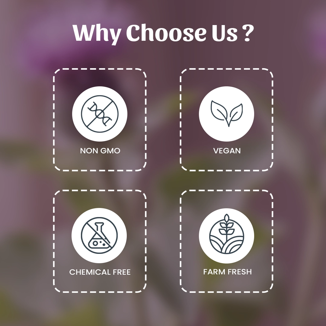 6 Uplet Powder Why Choose Us