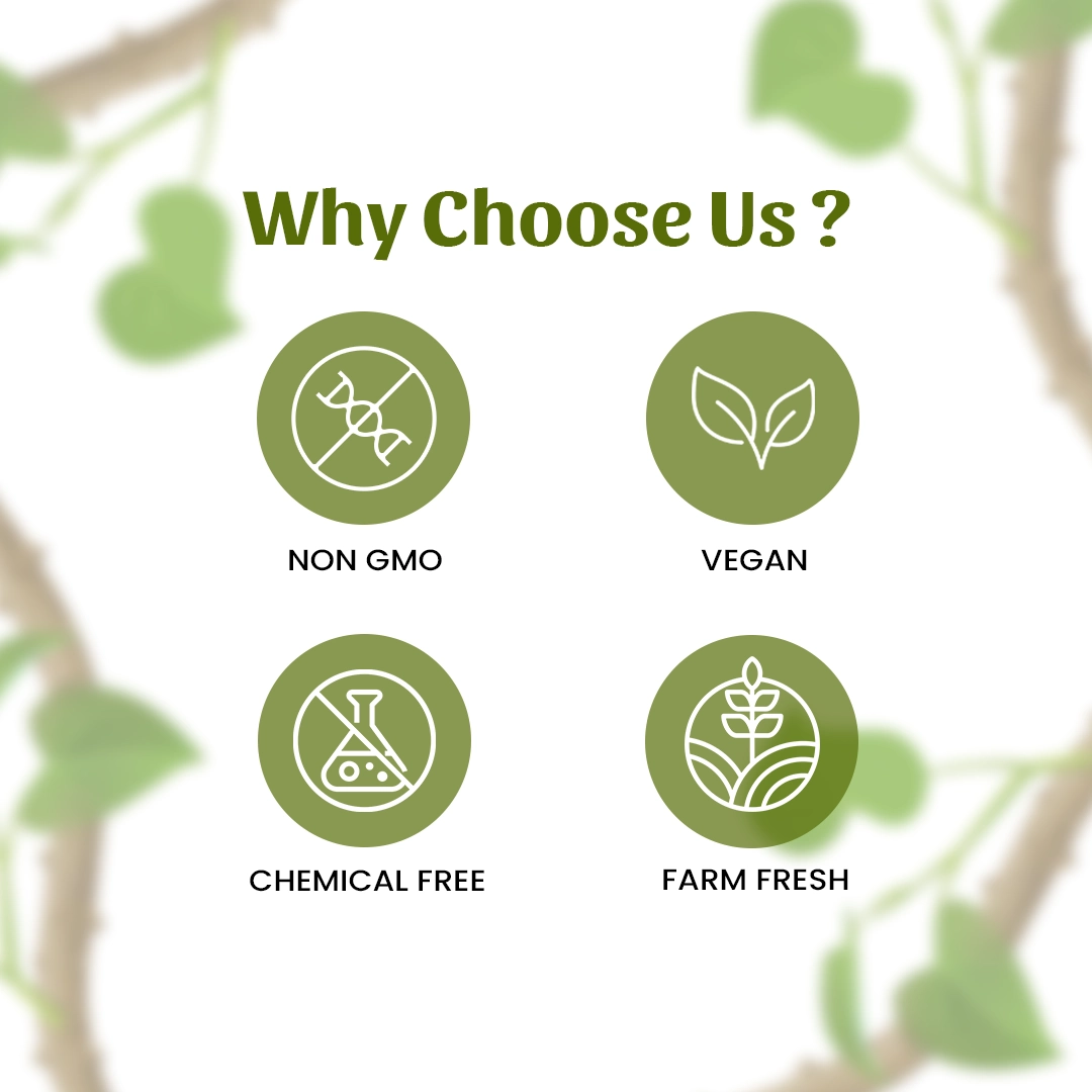 6 giloy powder why choose us