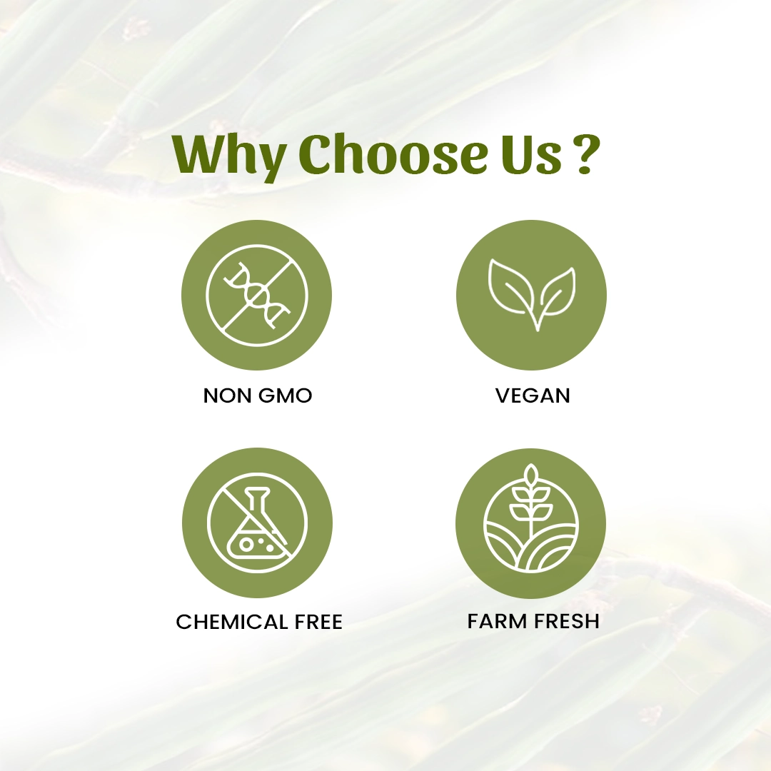 6 lmoringa drumstick powder why choose us
