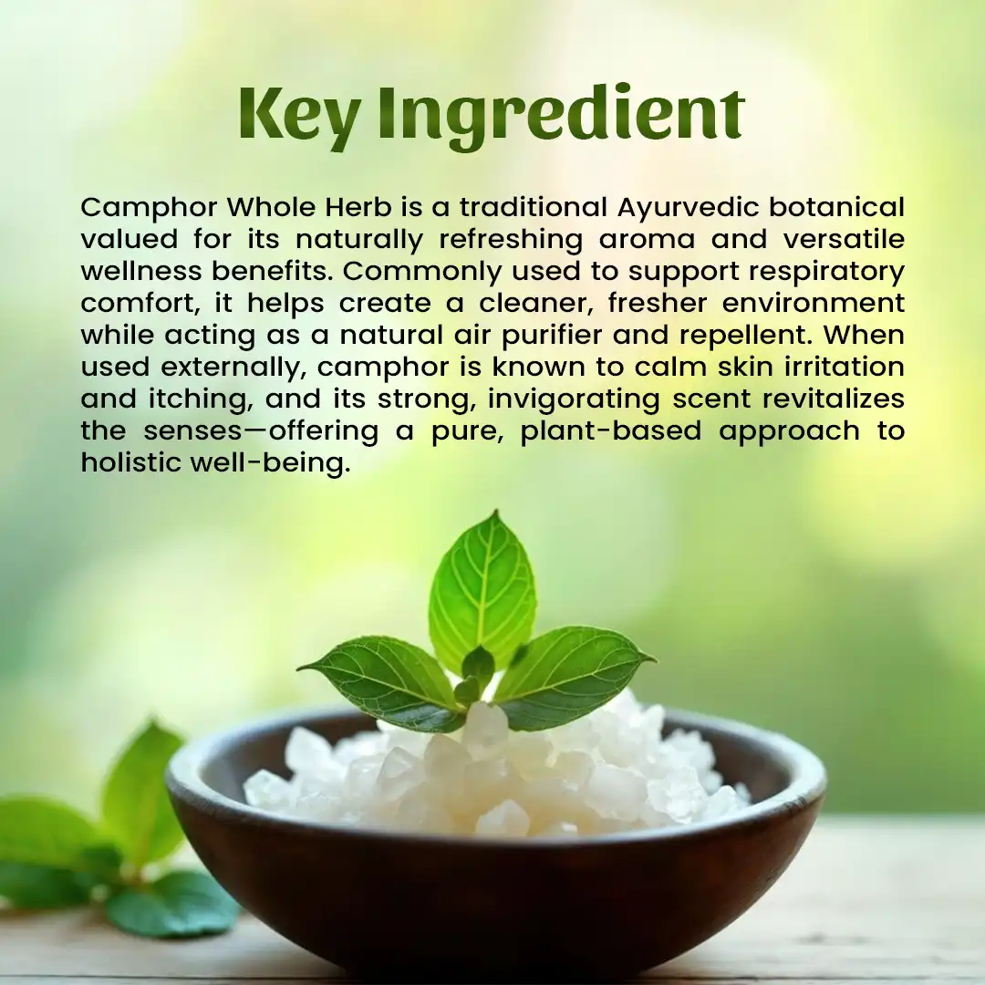 Camphor Powder Ingredients
