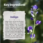 Neel-Ayurvedics-Henna-Powder-2