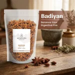 Badiyan Mockup