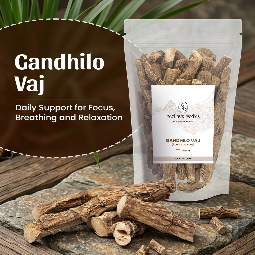 2 Gandhilo Vaj