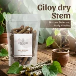 Giloy Dry Stems Whole Herbs Mockup