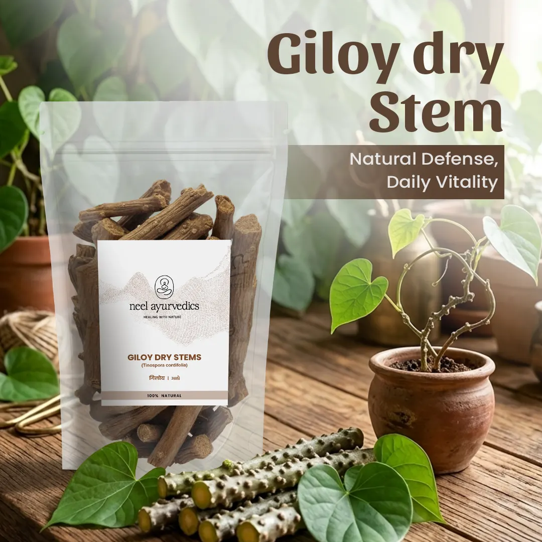 2 Giloy Dry